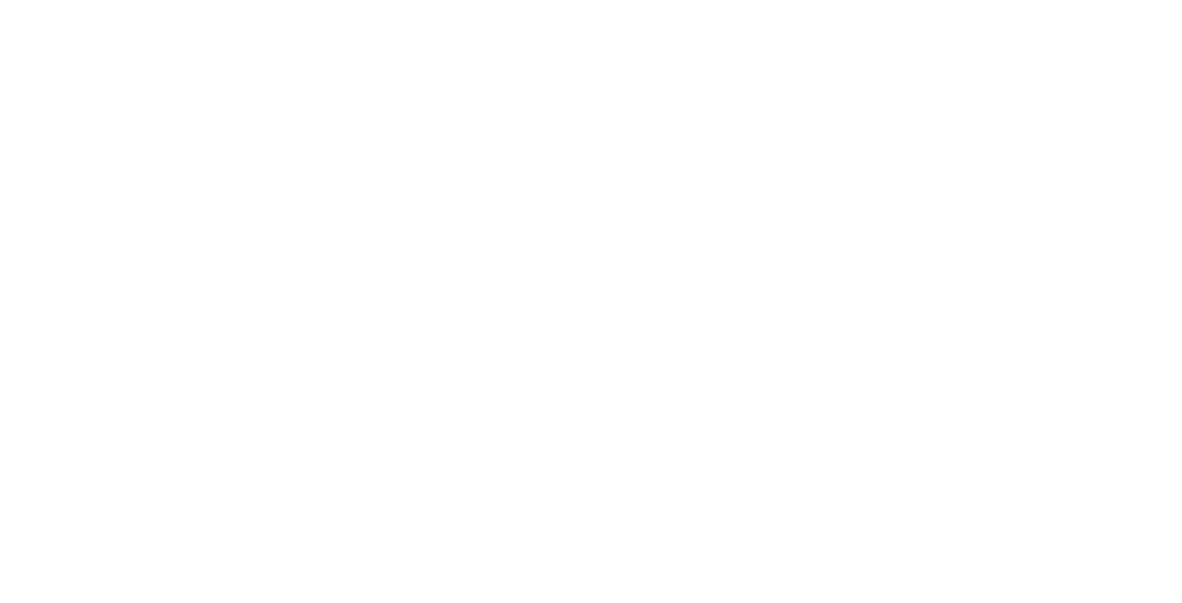 Minerva Group